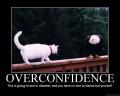 Posters Over confidence
